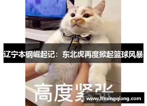 辽宁本钢崛起记：东北虎再度掀起篮球风暴