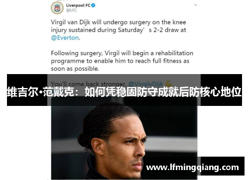 维吉尔·范戴克：如何凭稳固防守成就后防核心地位